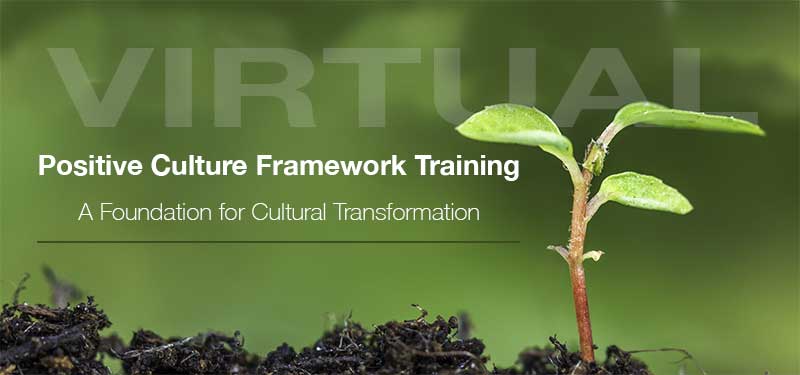 Positive Culture Framework